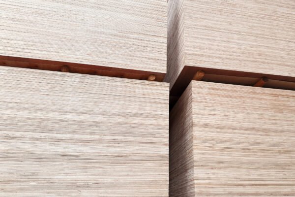 Falcata Plywood - Gambar 7