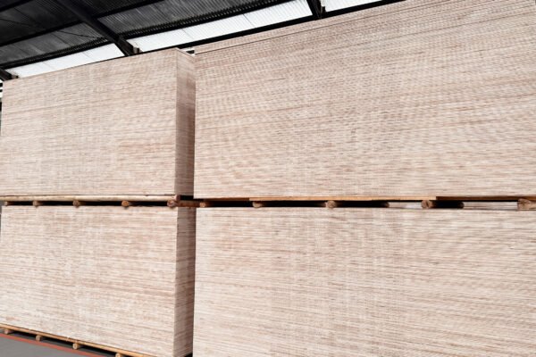 Falcata Plywood - Gambar 8