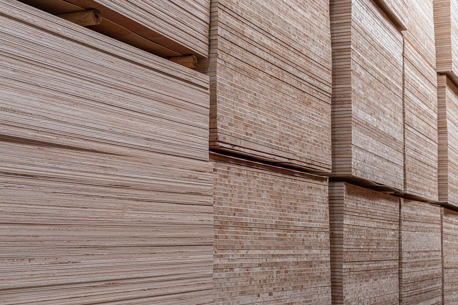 PNJ03901_EditedbyEky1 1