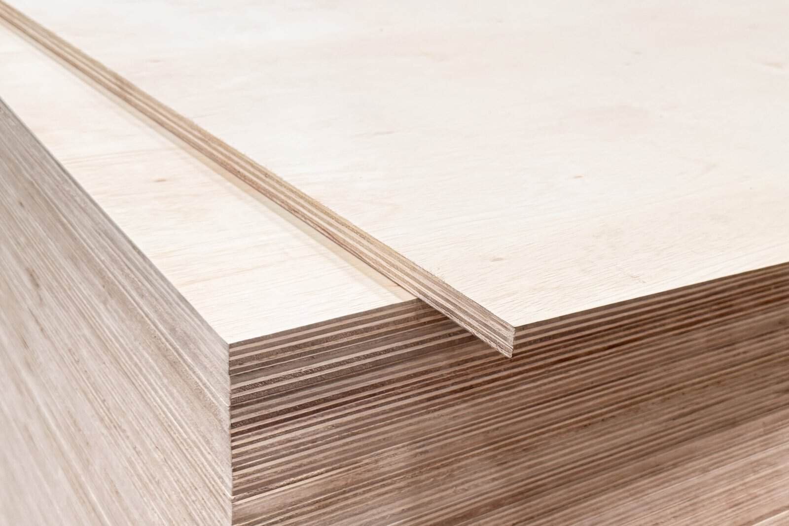 Falcata Plywood